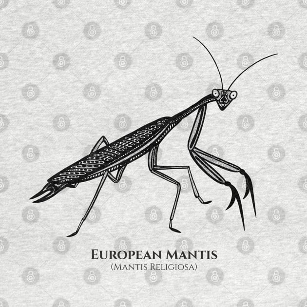 Praying Mantis with Common and Latin Names - on white by Green Paladin